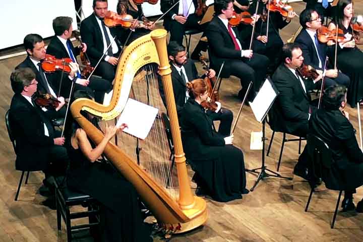 <p>Hoje a harpa é usada em orquestras e apresentações solo, especialmente na música clássica e new age, para criar atmosferas calmas e introspectivas.</p><?php if (strpos(site('ds_site_link'), '/apostas') === false): ?>

    </div>

    <div class=