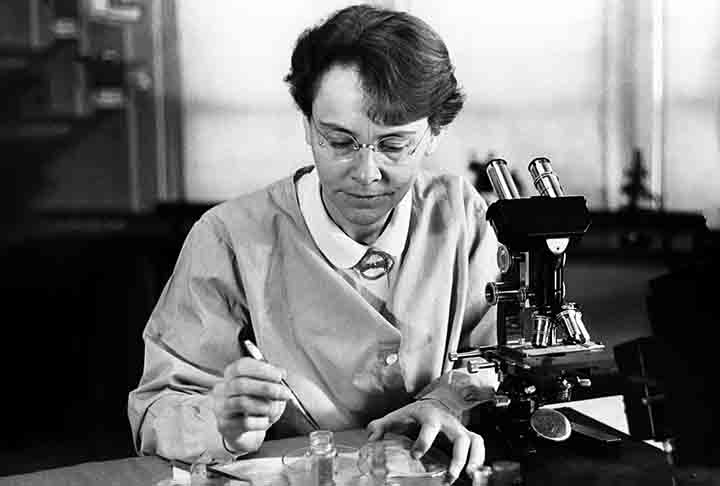 <p>BARBARA MCCLINTOCK (1902–1992): Descobriu os transposons, elementos de DNA que podem se mover dentro do genoma.</p>
