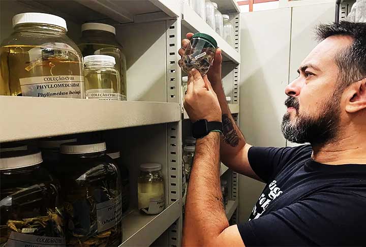 <p>O órgão pertence ao Instituto Chico Mendes de Conservação da Biodiversidade (ICMBio) e ressalta que dentro da ordem Anura estão várias famílias de sapos, rãs e pererecas cujas espécies estão em todos os continentes, com exceção da Antártica.</p><?php if (strpos(site('ds_site_link'), '/apostas') === false): ?>

    </div>

    <div class=