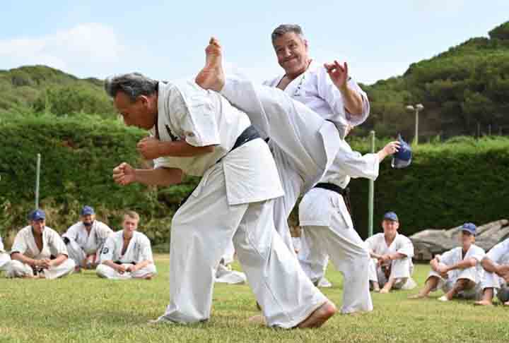 <p>Seiwakai- Forma de Karatê desenvolvida no Japão por Kenji Kurosaki. Combina golpes de punho, chutes, joelhadas e cotoveladas, com manobras de defesa e controle. É uma variação do Karatê Kyokushin, conhecido pela ênfase na força, resistência e espírito de luta.</p>
