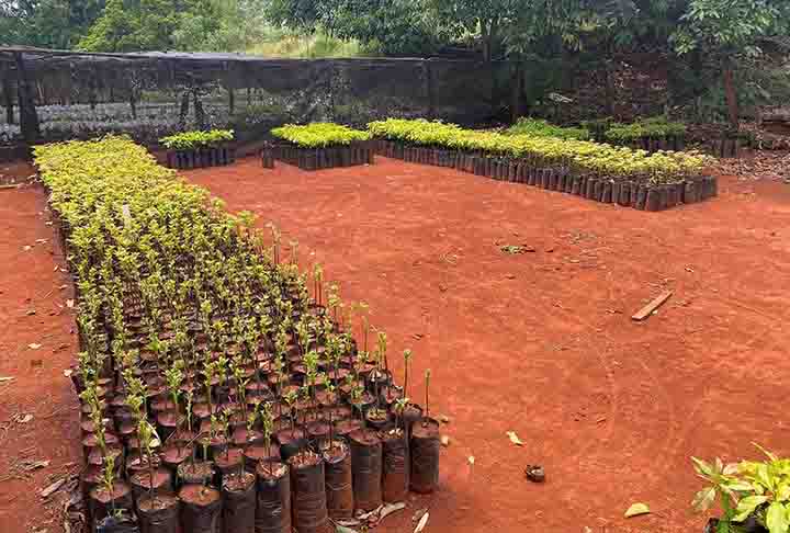 <p>Nessa produção e transporte aparecem dióxido de carbono, metano e óxido nitroso, calculado na forma equivalente ao aquecimento causado por CO₂.</p>
