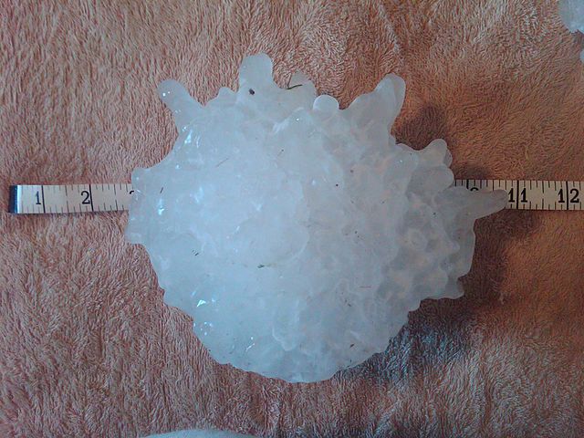 <p>A maioria das pedras é pequena. Mas há granizos grandes que podem até matar. Na foto, um pedaço de granizo que caiu nos EUA, em Dakota do Sul, tinha 20 cm e 880 gramas. Quase 1 kg!</p>
