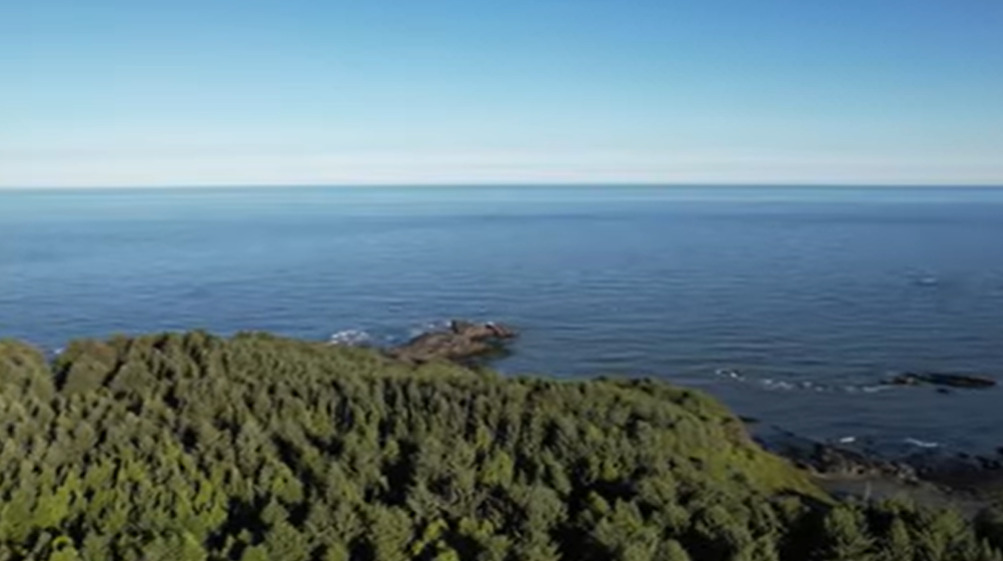 <p>A observação das duas lontras, ocorreu em Ecola Point, na praia de Cannon, que é um ponto badalado que recebe muitos turistas.</p></div>

<!-- INTERBANNER 5 [RETANGULO(BR)] - DESKTOP - [INTERNAS] -->
<div class=