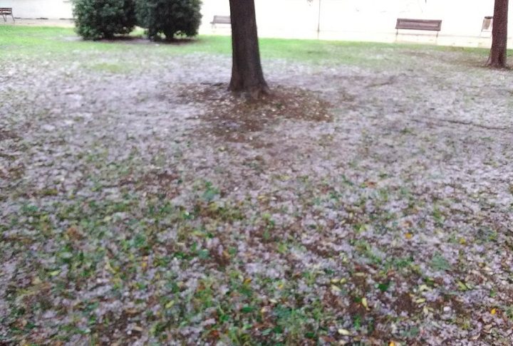 <p>Essas pedras podem variar de poucos milímetros até vários centímetros de diâmetro, podendo causar danos significativos dependendo do seu tamanho, densidade e velocidade de queda.</p><?php if (strpos(site('ds_site_link'), '/apostas') === false): ?>
    </div>
    <div class=