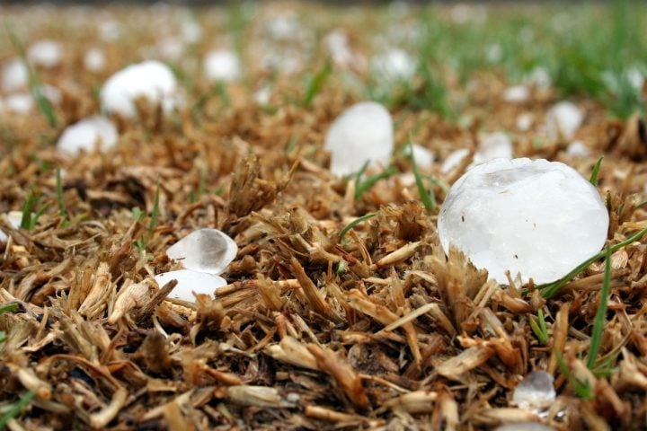 <p>Nos últimos anos, diversos episódios envolvendo chuva de granizo no Brasil causaram estragos e ofereceram perigo para a população. Entenda como esse fenômeno acontece!</p>
 