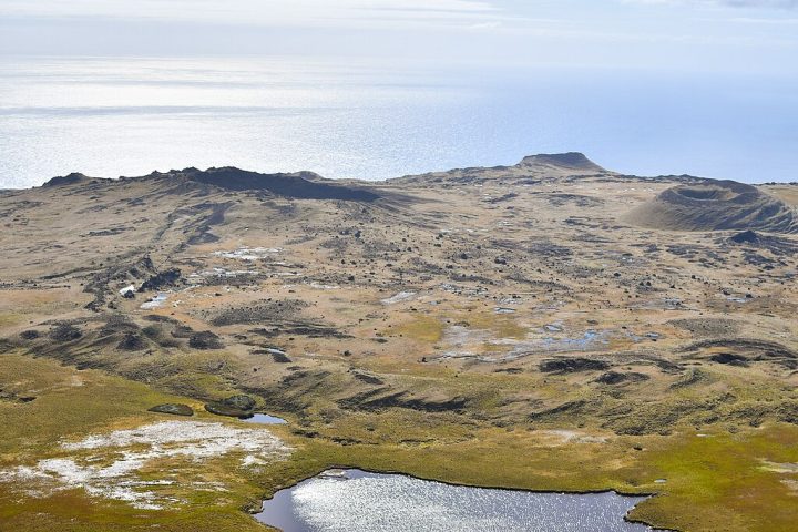 <p>A Ilha Amsterdã, localizada no sul do Oceano Índico, abrigou uma população surpreendente de gado selvagem, descendente de animais abandonados no século 19.</p>
