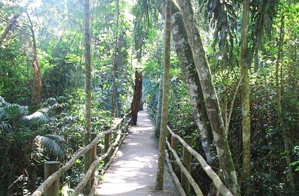 <p>A nascente do riacho foi preservada em uma área de Mata Atlântica ainda conservada. Incorporado ao Parque da Independência, o riacho apresenta trechos do leito original, integrados ao conjunto histórico.</p><?php if (strpos(site('ds_site_link'), '/apostas') === false): ?>

    </div>

    <div class=