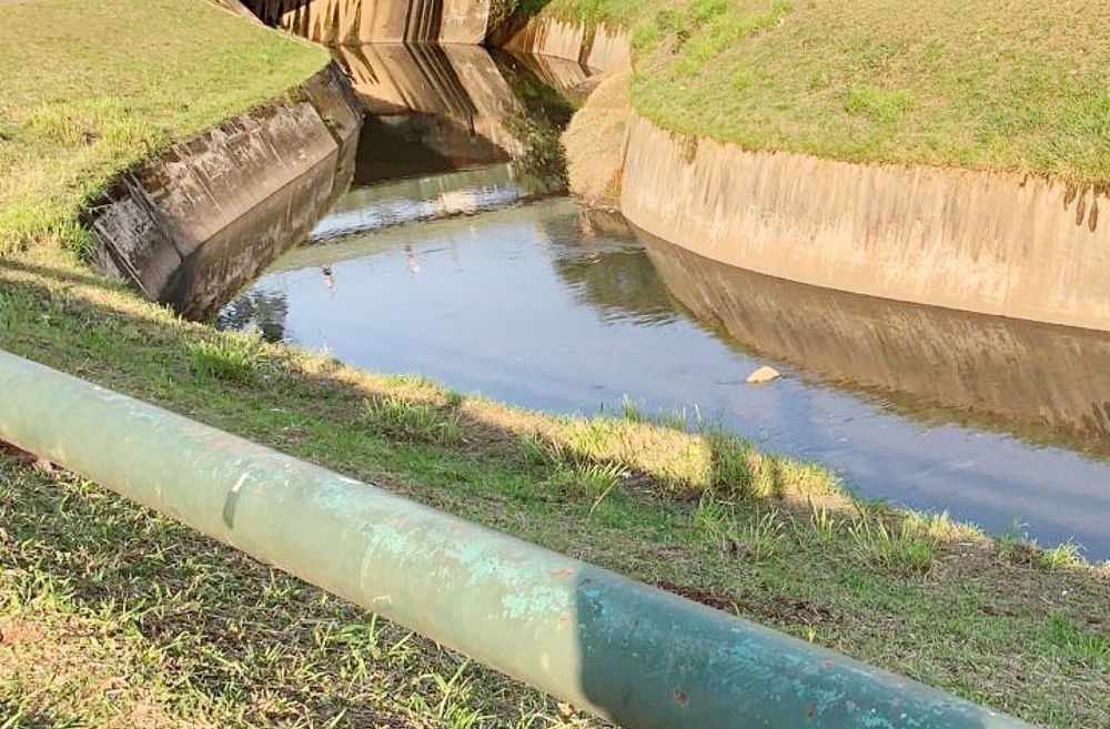 <p>A degradação ambiental é um grande desafio para a preservação da memória ecológica do local. Em 2022, ano do bicentenário da independência, foram realizadas ações de limpeza e conexão à rede de esgoto com o objetivo de melhorar a qualidade da água do Riacho do Ipiranga e valorizar o patrimônio histórico e natural do local.</p><?php if (strpos(site('ds_site_link'), '/apostas') === false): ?>
    </div>
    <div class=