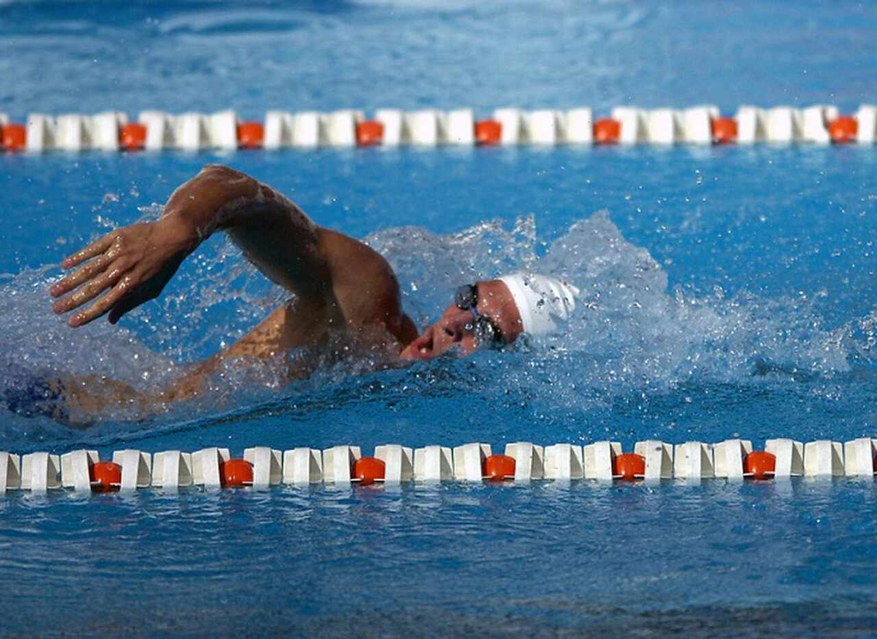 <p>Além de beneficiar o sistema cardiovascular, a natação tem um impacto significativo no sistema musculoesquelético. A resistência da água exige o uso de muitos grupos musculares, incluindo braços, pernas, abdômen e costas.</p>
