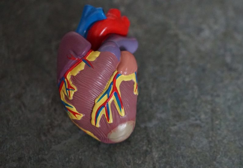 <p>Um dos principais benefícios da natação é o fortalecimento do coração. A atividade aumenta a frequência cardíaca e melhora a circulação, diminuindo o risco de doenças cardiovasculares.</p><?php if (strpos(site('ds_site_link'), '/apostas') === false): ?>
    </div>
    <div class=