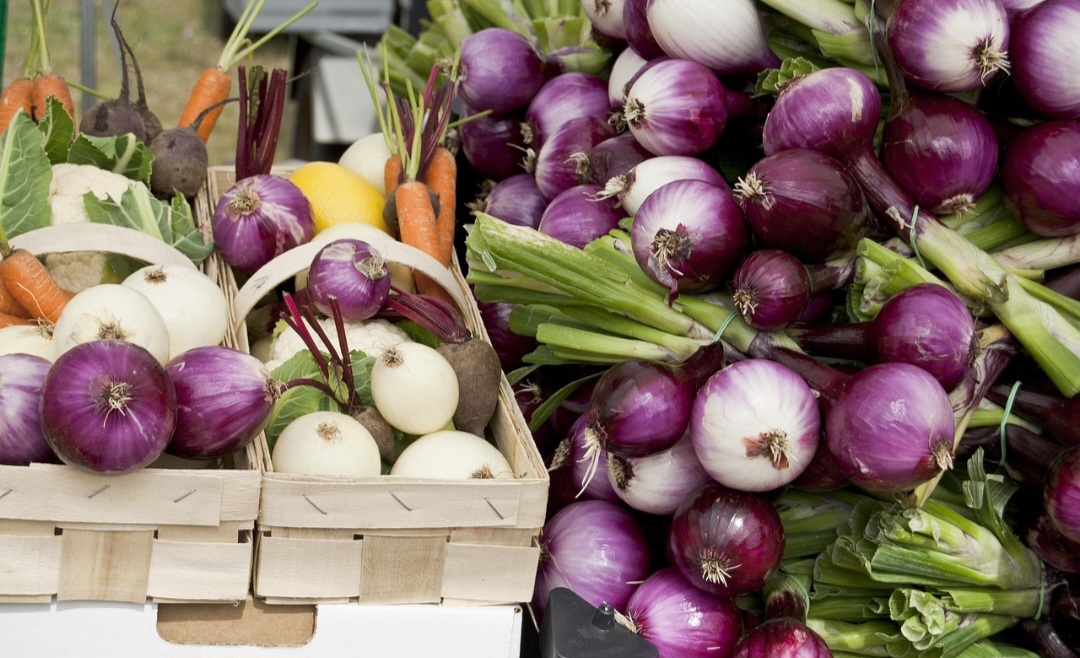 <p>Do ponto de vista nutricional, a cebola é fonte de fibras, vitaminas do complexo B e vitamina C. Também contém compostos antioxidantes importantes para o organismo.</p>
