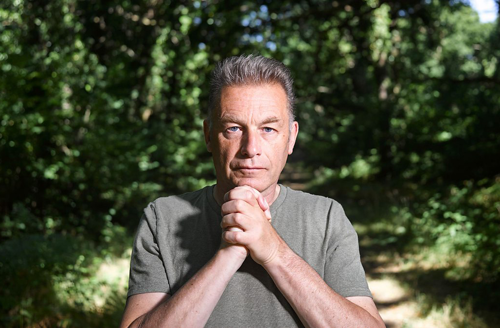 <p>Chris Packham, da Sociedade Nacional do Autismo, reforça essa leitura ao destacar a obsessão angustiante de Turner por esboçar cenários. Assim, a repetição incansável pode indicar traços neuroatípicos. O documentário abre espaço, desse modo, para novas interpretações sobre sua obra.</p><?php if (strpos(site('ds_site_link'), '/apostas') === false): ?>
    </div>
    <div class=