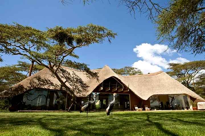 <p>2º) Solio Lodge, Quênia: Entre o Monte Quênia e o Parque Nacional Aberdare, o lodge é famoso por seus safáris de rinocerontes. O local ainda oferece aventuras em meio à vida selvagem africana, como passeios de helicóptero, bicicleta ou cavalo.</p>
