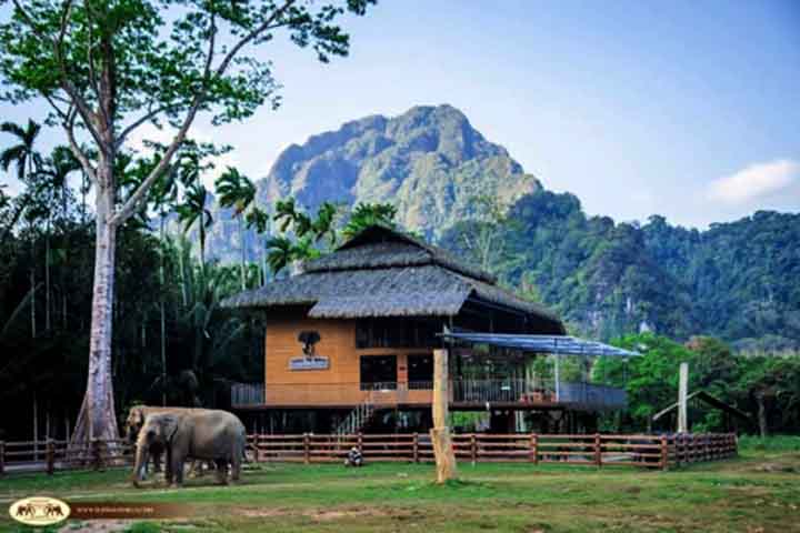 <p>4º) Elephant Hills, Tailândia: Os hóspedes podem escolher entre se hospedar em tendas na floresta ou em bangalôs flutuantes. A interação com os animais é feita de forma ética, ou seja, nada de montaria.</p>
