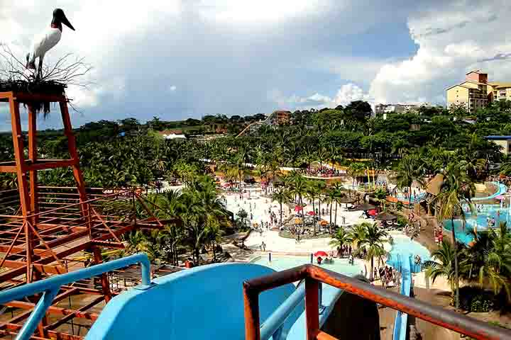 <p>Um parque aquático de Olímpia, no interior de São Paulo, foi o 4º mais visitado do planeta em 2024.</p>
