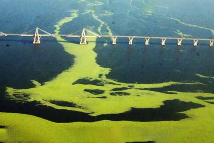 <p>Ao longo dos séculos 16 e 17, a região alternou entre tentativas de colonização e conflitos, até que a cidade de Maracaibo foi definitivamente estabelecida em 1574 e mais tarde se tornaria cenário de batalhas importantes, como a decisiva Batalha Naval do Lago Maracaibo em 1823, durante a guerra de independência da Venezuela.</p>
