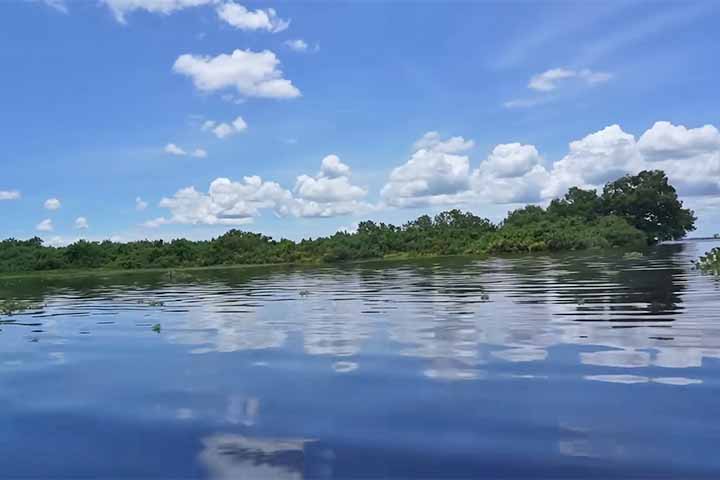 <p>Nos últimos anos, iniciativas de limpeza e esforços ambientais liderados por comunidades locais, cientistas e mesmo alguns programas governamentais têm buscado formas de mitigar o impacto da poluição e recuperar partes do lago, embora essa seja uma tarefa colossal diante das décadas de negligência e do tamanho do problema.</p>
