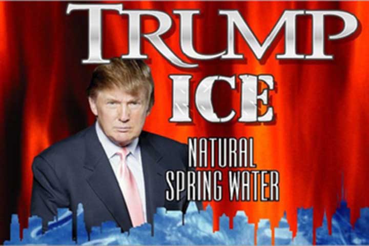 <p>Do mercado imobiliário de luxo em Nova York aos cassinos de Atlantic City, passando por reality shows e empreendimentos internacionais, seus negócios sempre caminharam lado a lado com a autopromoção e uma estratégia agressiva de expansão. O Flipar mostra a seguir os negócios de Donald Trump!</p></div>

<!-- INTERBANNER 5 [RETANGULO(BR)] - DESKTOP - [INTERNAS] -->
<div class=