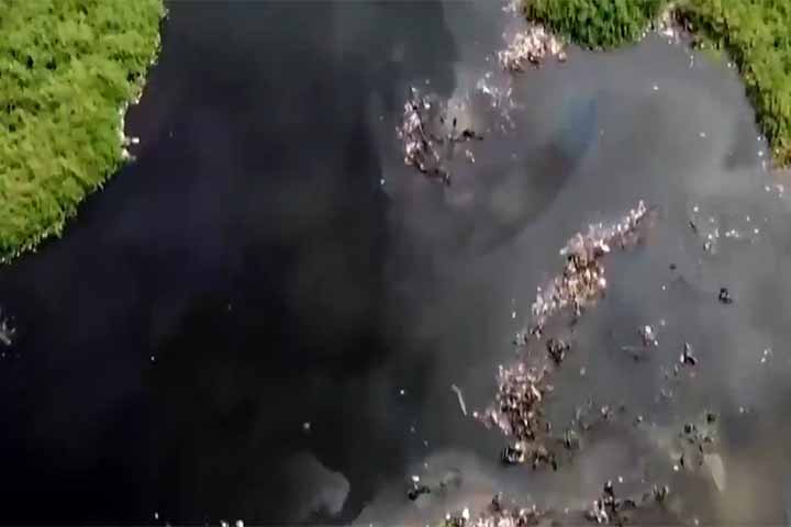 <p>As consequências para as comunidades que dependem do lago são visíveis: pescadores relatam quedas drásticas nas capturas, danos a equipamentos e problemas de saúde ligados à contaminação das águas.</p>
