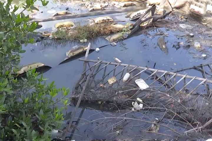 <p>No entanto, o mesmo desenvolvimento petrolífero que trouxe prosperidade deixou um legado de degradação ambiental difícil de reverter.</p>
