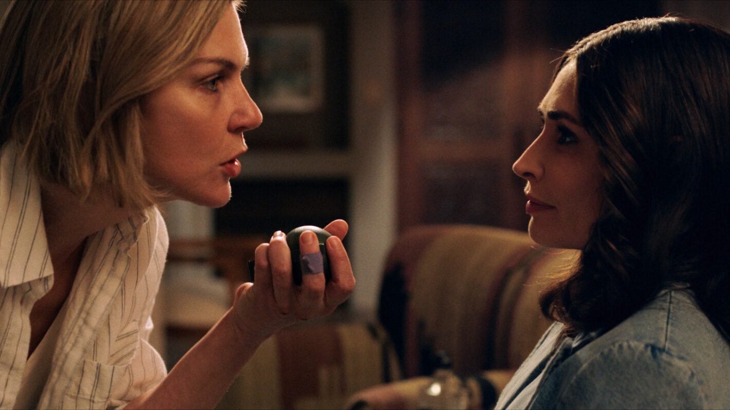 <p>Além de Rhea Seehorn no papel central, “Pluribus” reúne um elenco diversificado que inclui a polonesa Karolina Wydra, conhecida por “Viagem à Lua de Júpiter”, e o colombiano Carlos-Manuel Vesga, de “Notícia de um Sequestro”.</p>
