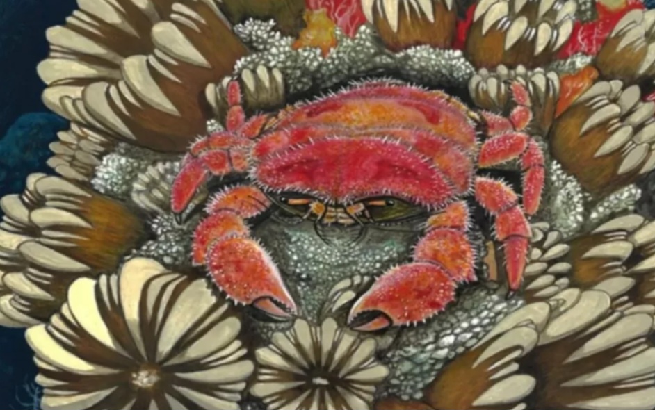 <p>Pesquisadores brasileiros descobriram na Ilha James Ross, na Antártica, um fóssil raro de caranguejo com 85 milhões de anos. O animal, chamado Sabellidromites santamarta, viveu no Cretáceo, quando a região era quente, úmida e coberta por florestas e mares mornos.</p>
