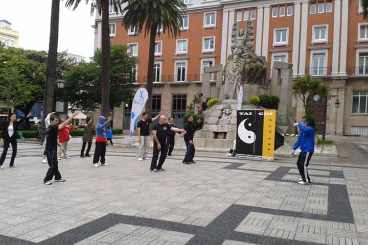 <p>A história do Tai Chi Chuan é, de fato, uma fascinante mistura de lendas e registros históricos. A origem desta arte marcial envolve mitos taoístas, mas seu desenvolvimento histórico é rastreado por meio de linhagens de famílias e mestres.</p>

