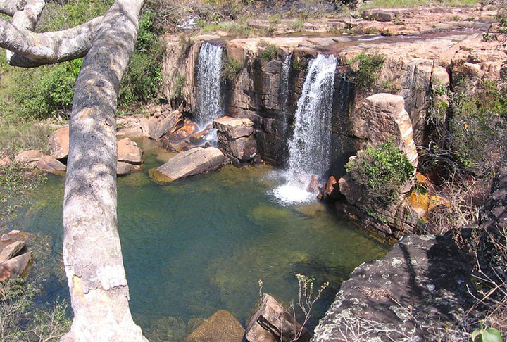 <p>Além de tudo, a área de proteção natural na cidade faz um trabalho constante para manter os animais e as plantas que fazem parte da região.</p>
