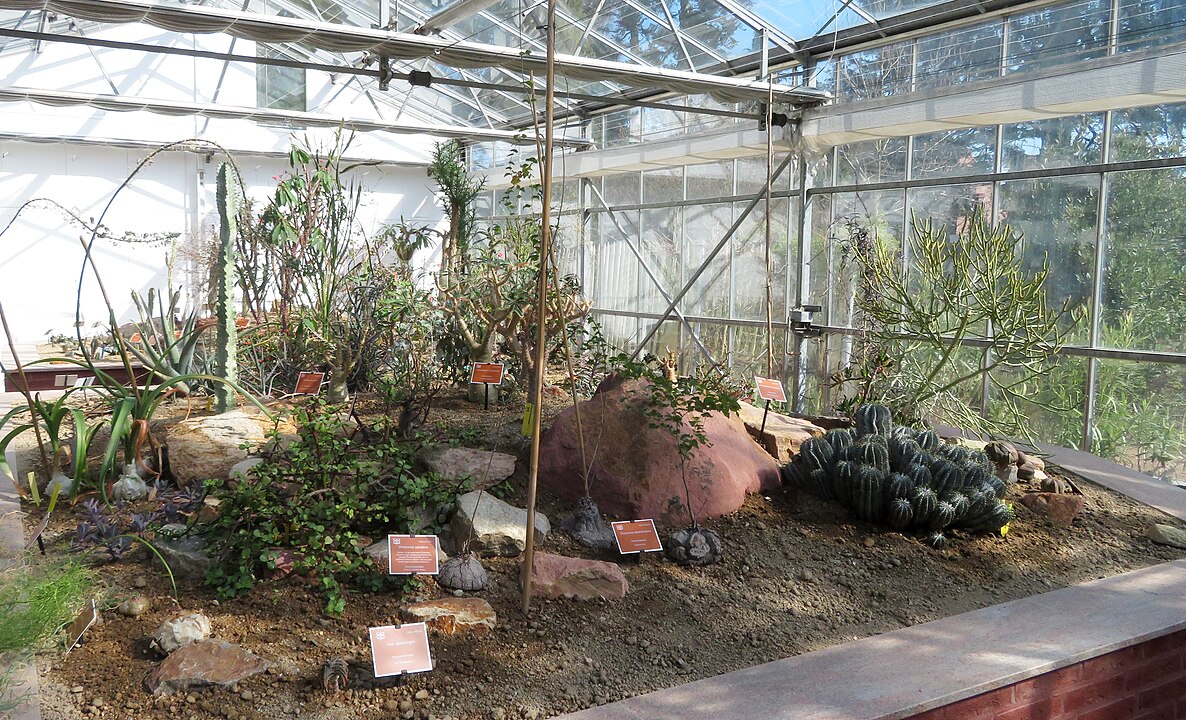 <p>Esse tipo de jardinagem é ideal para pessoas com rotina agitada, que desejam beleza e praticidade sem comprometer a estética.</p></div>

<!-- INTERBANNER 5 [RETANGULO(BR)] - DESKTOP - [INTERNAS] -->
<div class=