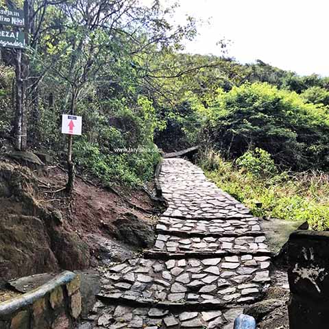 <p>A trilha que parte da Praia dos Anjos leva ao mirante da Praia do Forno, revelando uma das vistas mais espetaculares de Arraial do Cabo. Apesar da subida íngreme, o percurso é curto e acessível. O mirante conta com um banco onde é difícil não parar para admirar a paisagem.</p>
