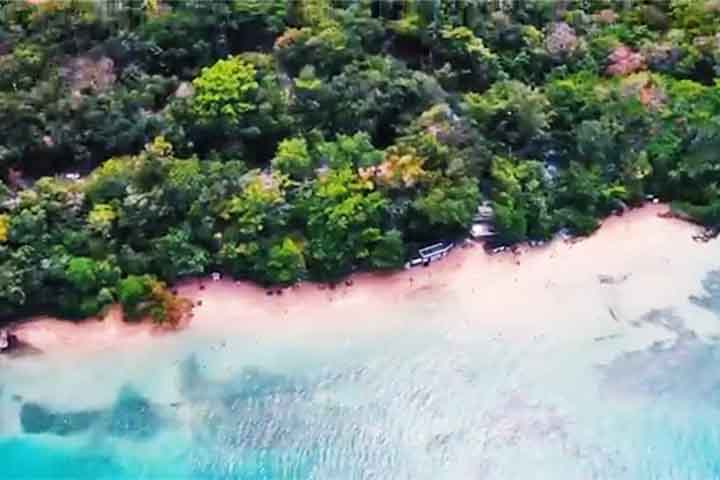 <p>Enquanto a Jamaica celebra recordes de visitação, a população local enfrenta uma realidade amarga: o acesso às suas próprias praias está comprometido.</p>
