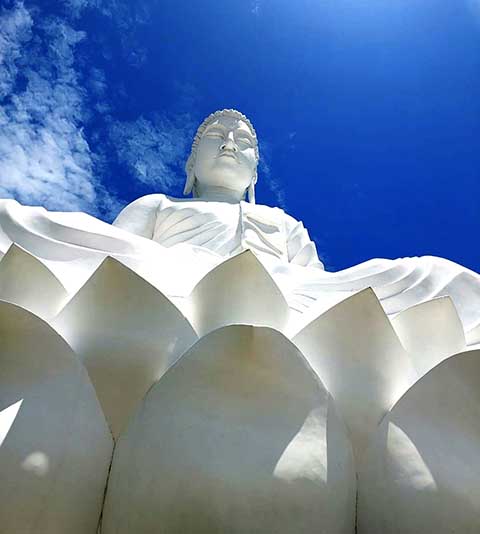 <p>O povoamento deste local começou com a chegada de imigrantes italianos fugindo da crise socioeconômica no país europeu. Eles foram trazidos em navios que aportavam em Vitória e seguiam para o núcleo colonial na região.</p>
