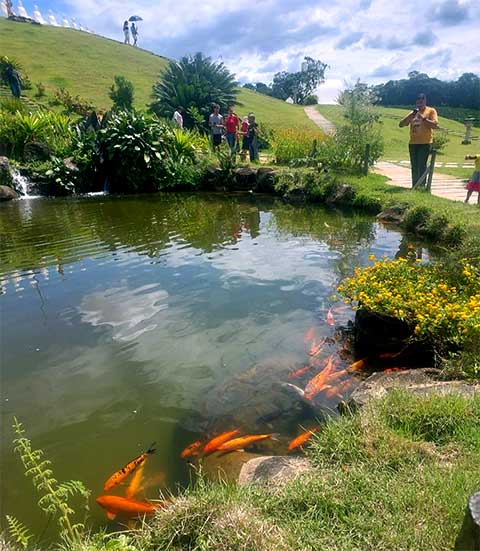 <p>Existem outras opções amenas e com uma paisagem diversificada. Entre elas, cachoeiras, mirantes e reservas ecológicas, que atraem as atenções dos visitantes.</p>
