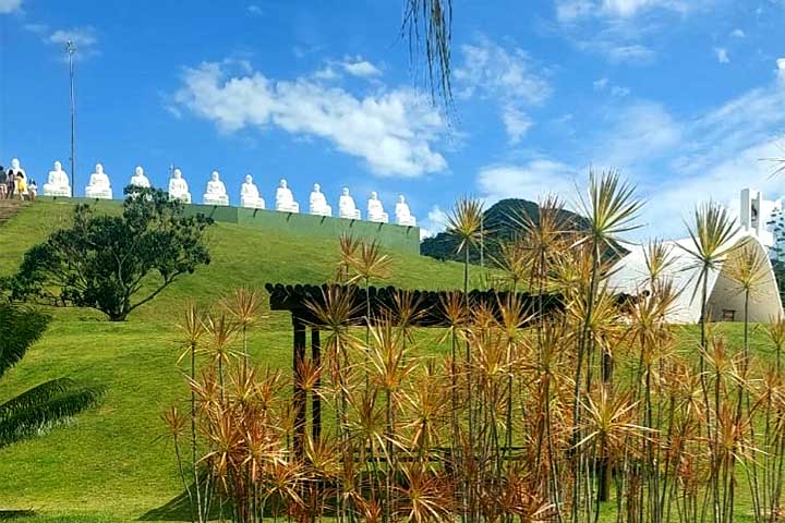 <p>A partir da produção agrícola, surgiram os primeiros núcleos urbanos, que se desenvolveram com o fluxo de escoamento da produção.</p>
