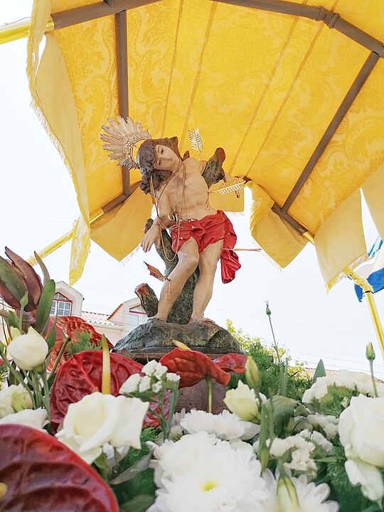 <p>20 de janeiro é Dia de São Sebastião, padroeiro da cidade do Rio de Janeiro e feriado municipal. Ele também é o santo cultuado oficialmente em outras cidades, várias delas com o nome do santo, como , por exemplo, São Sebastião do Umbuzeiro, na Paraíba.</p>
