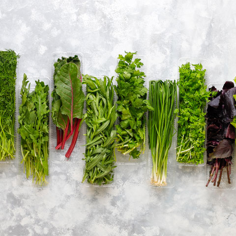 <p>Nas saladas, é essencial lavar bem as folhas em água corrente para evitar bactérias. Também convém não usar molhos muito gordurosos, que podem irritar o sistema digestivo.</p>
