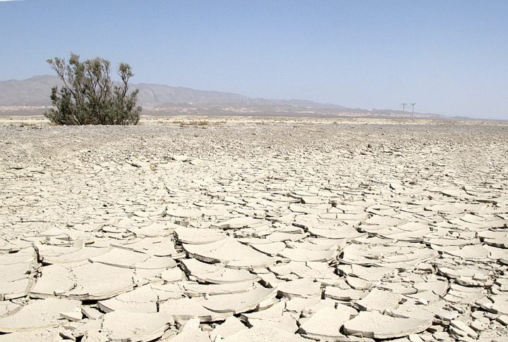 <p>Este morcego raro é nativo da região do Deserto de Karakum, que se estende pelas fronteiras do Turcomenistão, Cazaquistão e Uzbequistão.</p></div>

<!-- INTERBANNER 5 [RETANGULO(BR)] - DESKTOP - [INTERNAS] -->
<div class=