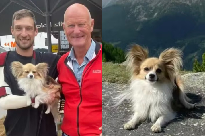 <p>“Assim que os socorristas retiraram seu dono, o cachorrinho abanava o rabo, feliz por ver Jan de volta à superfície”, relatou Bruno Kalbermatten, da empresa de resgate aéreo Air Zermatt.</p><?php if (strpos(site('ds_site_link'), '/apostas') === false): ?>
    </div>

    <div class=