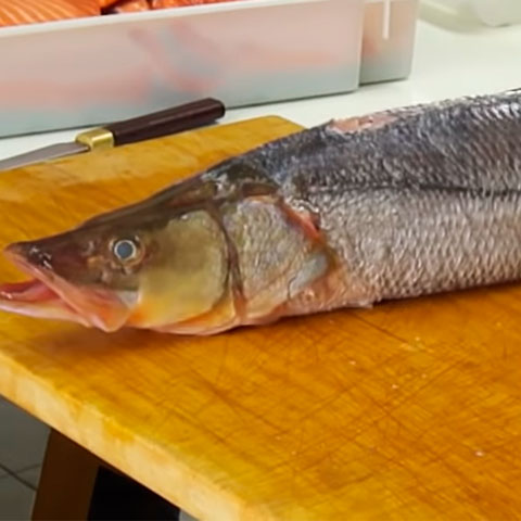 <p>Os peixes têm carne mais suave que as carnes suína ou bovina e podem ser mais pobres ou mais ricos em gordura. Os magros incluem linguado, namorado e robalo; já atum, salmão e sardinha estão entre os mais gordos.</p>
