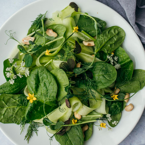 <p>Uma boa opção é a salada colorida com folhas escuras, como couve, agrião e espinafre, ricas em vitaminas, minerais e fibras. As folhas mais claras, como o alface, também ajudam a aliviar dores musculares.</p>
