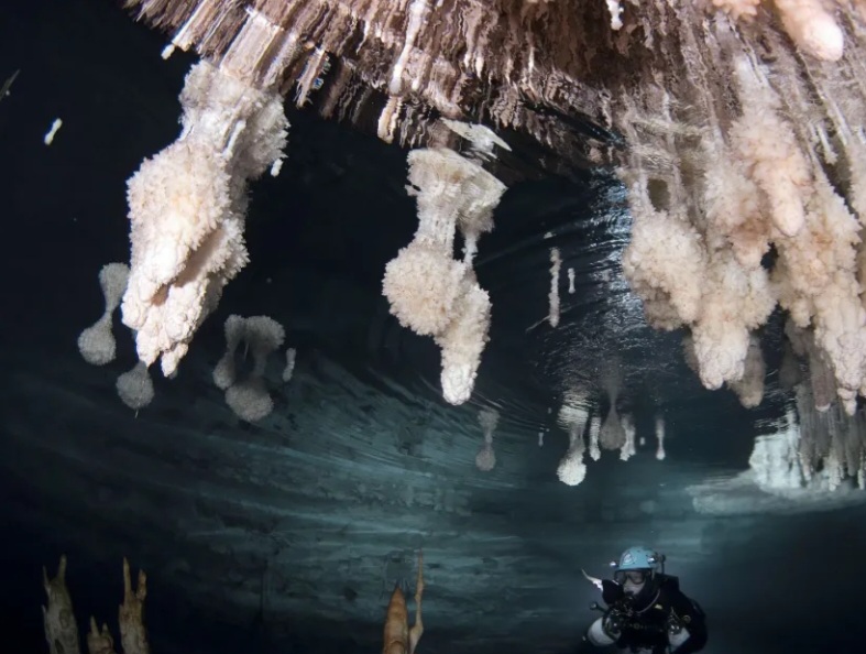 <p>Bogdan Onac, professor da Escola de Geociências da Universidade do Sul da Flórida, declarou à CNN ser provável que a ponte na ilha de Maiorca (foto) tenha sido usada por 500 anos até ser engolida pela água.</p><?php if (strpos(site('ds_site_link'), '/apostas') === false): ?>
    </div>

    <div class=