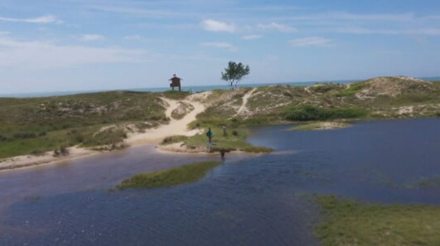 <p>E é justamente para a fase larval que lagos e lagoas são ambientes ideais para as libélulas, pois as larvas muitas vezes ficam escondidas entre pedras e vegetação subaquática.</p>
