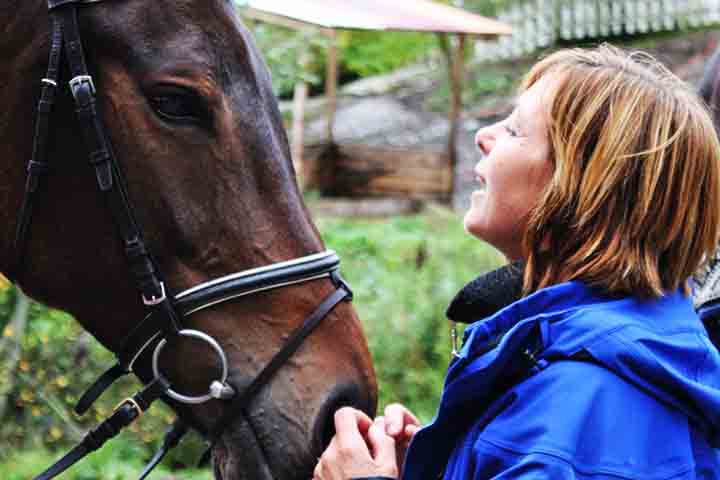 <p>Para o experimento, os pesquisadores analisaram 28 cavalos, expondo-os a fotos de rostos humanos com expressões positivas e negativas.</p><?php if (strpos(site('ds_site_link'), '/apostas') === false): ?>
    </div>

    <div class=