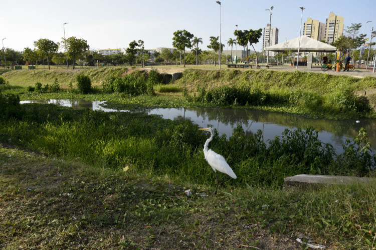 Moradores denunciam sujeira de pra&ccedil;as em Fortaleza