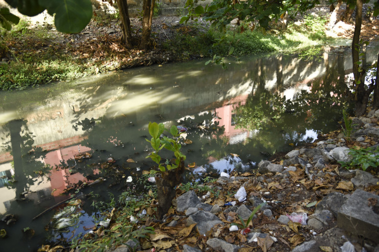 ￼SUJEIRA no canal chama a atenção