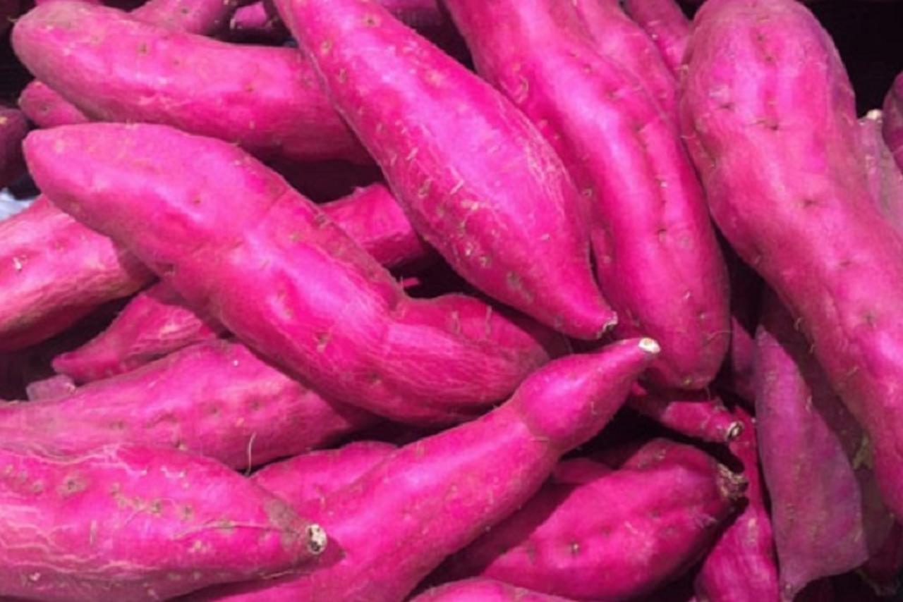 <p>A batata-doce também é uma aliada no ganho de massa muscular, tornando-se uma escolha ideal para quem deseja fortalecer o corpo de forma saudável.</p>
