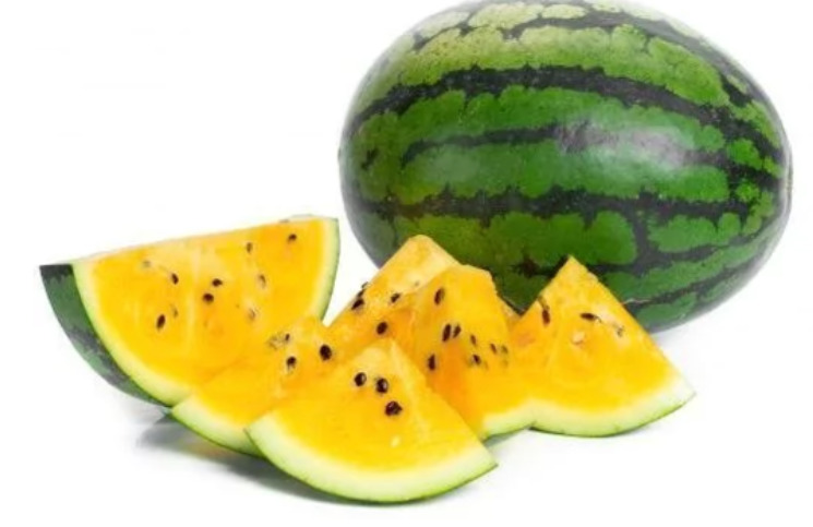 <p>A fruta é rica em fibras e a polpa amarela revela a presença do betacaroteno, substância que traz benefícios para o organismo.</p>
