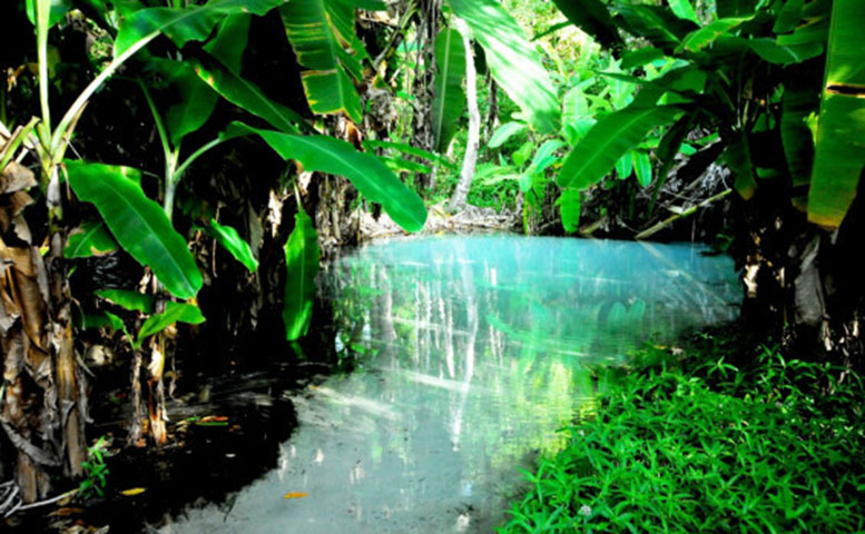 <p>Entretanto, sua profundidade atinge 70 metros. São cerca de 20 fervedouros descobertos. A sua visitação é limitada, com um grupo de 10 pessoas, com tempo limite de 20 minutos.</p>
