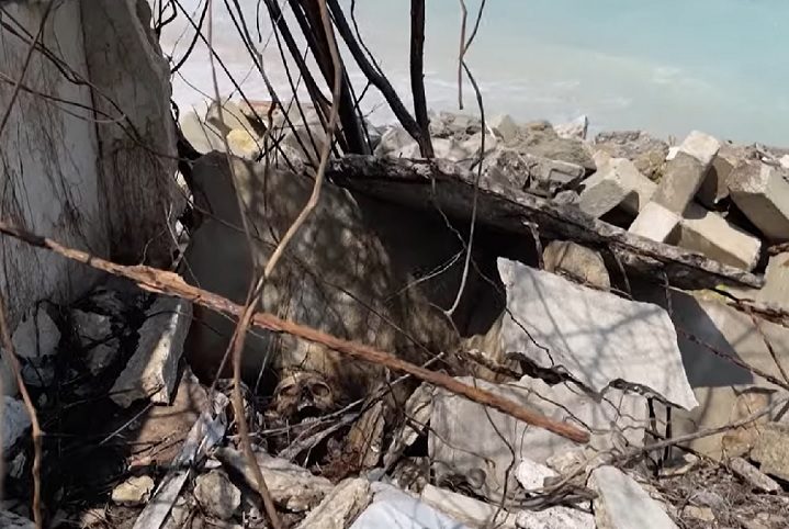 <p>Mirla Aaron, uma líder comunitária local, ficou chocada ao encontrar ossos de antigos habitantes de Tierra Bomba, uma ilha em frente à zona hoteleira de Cartagena.</p><?php if (strpos(site('ds_site_link'), '/apostas') === false): ?>
    </div>
    <div class=