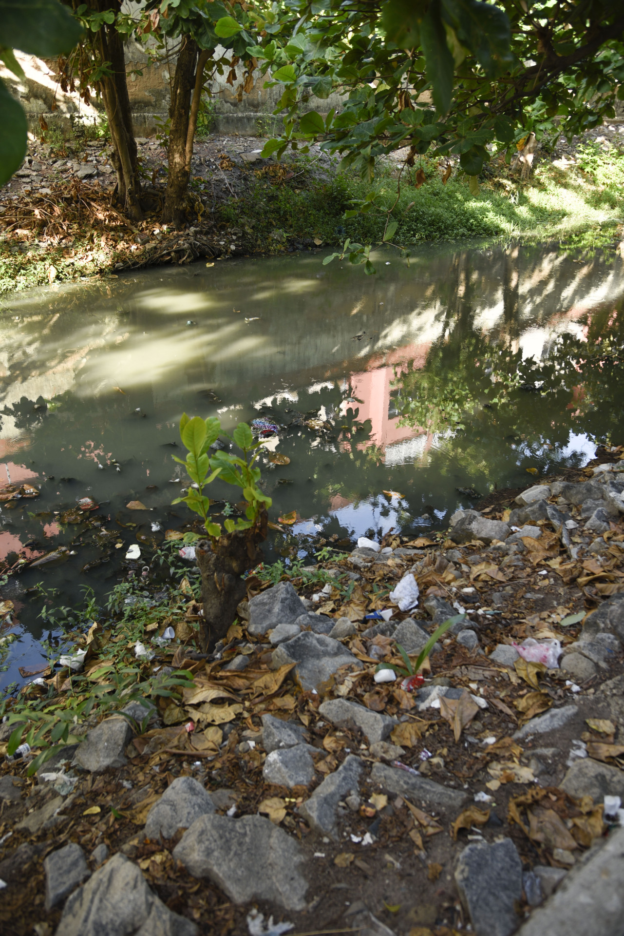 Canal que passa pela Pra&ccedil;a do North Shopping est&aacute; esverdeado